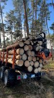 Brennholz Holz Kaminholz Stammholz Brandenburg - Dahme/Mark Vorschau