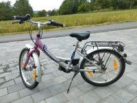 Kinderfahrrad Pegasus 20" Zoll, 3 Gangschaltung Gänge Bayern - Furth im Wald Vorschau