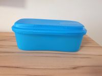 Nudelkocher für die Mikrowelle blau, Plastik, Tupperware Baden-Württemberg - Pforzheim Vorschau