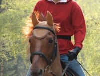 Ohrenhaube Pferd Fliegenhaube Fliegenkopfschutz Nordrhein-Westfalen - Willich Vorschau