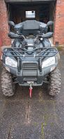 Quad SMC J MAX 700 Niedersachsen - Peine Vorschau