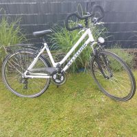 Damenfahrrad 26" Hessen - Twistetal Vorschau