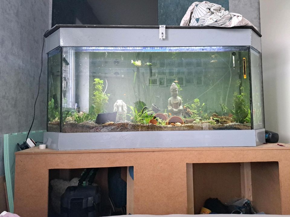 550l aquarium komplett in Saterland