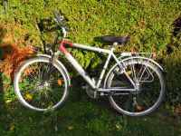 Fahrrad 28 Zoll Sachsen-Anhalt - Hinsdorf Vorschau