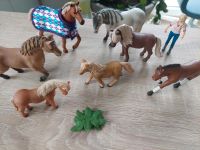 SET 18: schleich horse Club Bayern - Osterhofen Vorschau