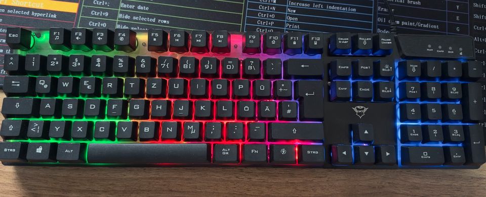 Tastatur, pc Kyboard Gaming in Heilbad Heiligenstadt