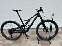 Specialized Stumpjumper ST Expert 29 Bayern - Großkarolinenfeld Vorschau