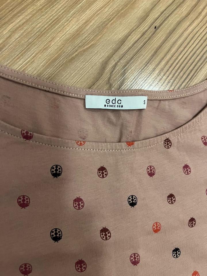 Top Kleidung Packet Damen Größe S / Oliver,H&M, Mango, edc.... in Coerde