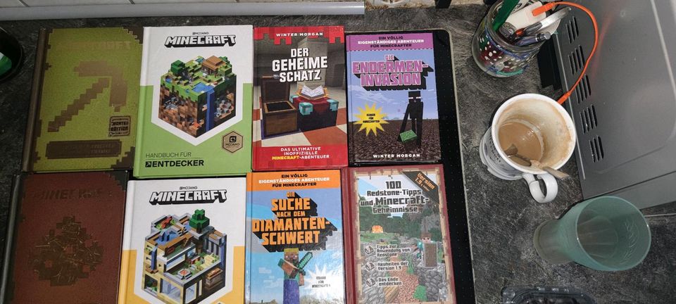 Minecraft Bücher in Braunschweig
