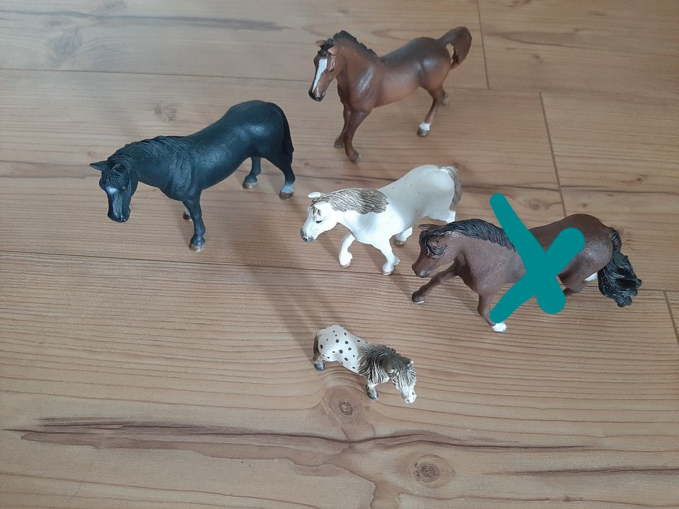 Schleich Pferde 5x / Fohlen  / Reiter / Konvolut  / Pony / Tiere in Dietmannsried