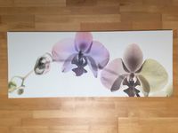 Ikea Wandbild Orchidee Pjätteryd 140x56 cm Dortmund - Kirchhörde Vorschau