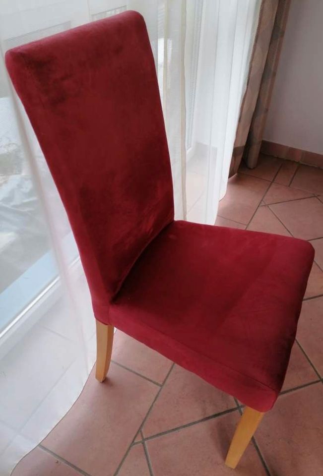 3 NEUE & OVP Stühle rot Wohnzimmer Hobbyraum Freischwinger Tisch in Heilbad Heiligenstadt