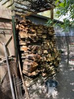 Holz kostenlos abzugeben Berlin - Grunewald Vorschau