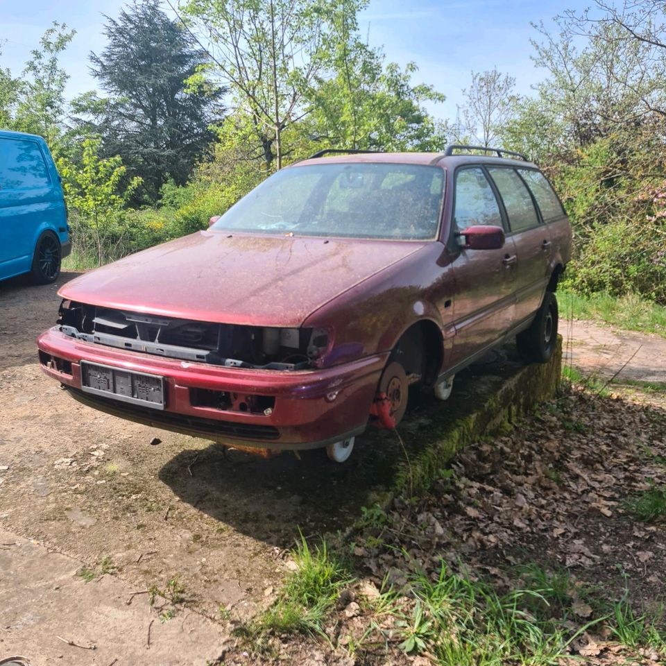 Vw Passat vr6 35i Motorhaube Stoßstange in Völklingen