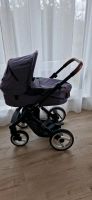 Kinderwagen Mutsy EVO Nordrhein-Westfalen - Detmold Vorschau