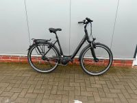 Raleigh Chester XXL bis 170kg Damen 8 Gang Rücktritt Neu Sofort Niedersachsen - Jade Vorschau