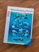Puzzle 1000 Teile Ravensburger Delfine Kreis Pinneberg - Wedel Vorschau