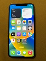 IPhone 11 Pro Max 64GB Hessen - Neu-Isenburg Vorschau