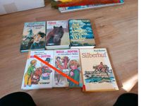 Kinderbücher/Pferdefan/Bille und Zottel Bayern - Aholming Vorschau