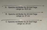 Speichen mit Mutter für 24, 26, 28 Zoll Felge gebraucht. Hessen - Bad Hersfeld Vorschau