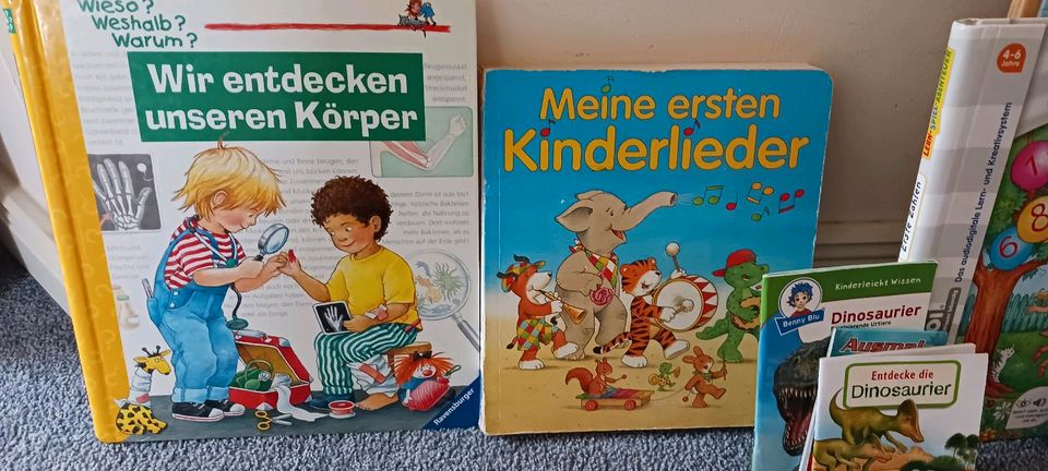 Diverse Kinderbücher günstig abzugeben ! in Gyhum