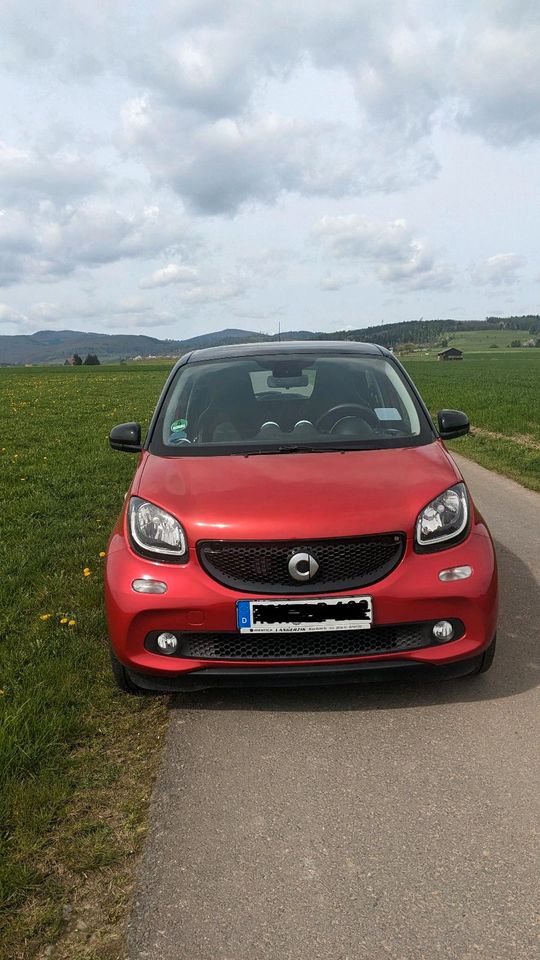 Smart Forfour Prime in Medebach