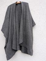 Poncho von Vila, Aubing-Lochhausen-Langwied - Aubing Vorschau