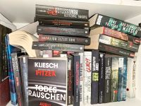 Thriller Bücher Niedersachsen - Achim Vorschau