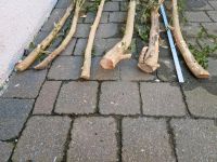 Buchsbaum Holz Nordrhein-Westfalen - Geldern Vorschau