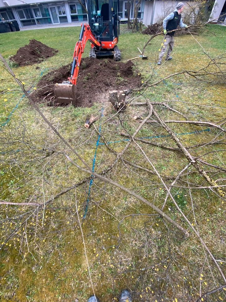 Erdarbeiten Gartenbau Baggern Pflastern menzinger in München in München