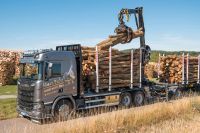 LKW-Ladung Brennholz/Stammholz/Kaminholz - Buche-Mix / Eiche-Mix Rheinland-Pfalz - Hundsbach Vorschau