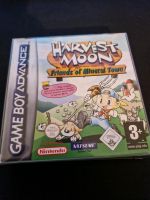 Harvest Moon Friends of Mineral Town GBA Niedersachsen - Wilhelmshaven Vorschau