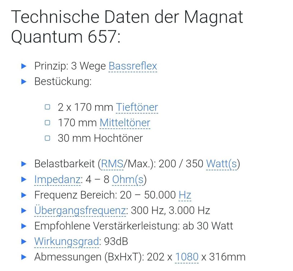 Magnat Quantum 657 in Hilders