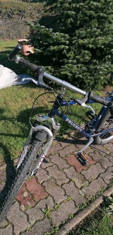 Peugeot Mountainbike leichtes 26" zoll Fahrrad Rad in Herzberg/Elster