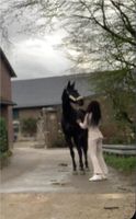 Reiter sucht Pferd (REITBETEILIGUNG) Nordrhein-Westfalen - Düren Vorschau