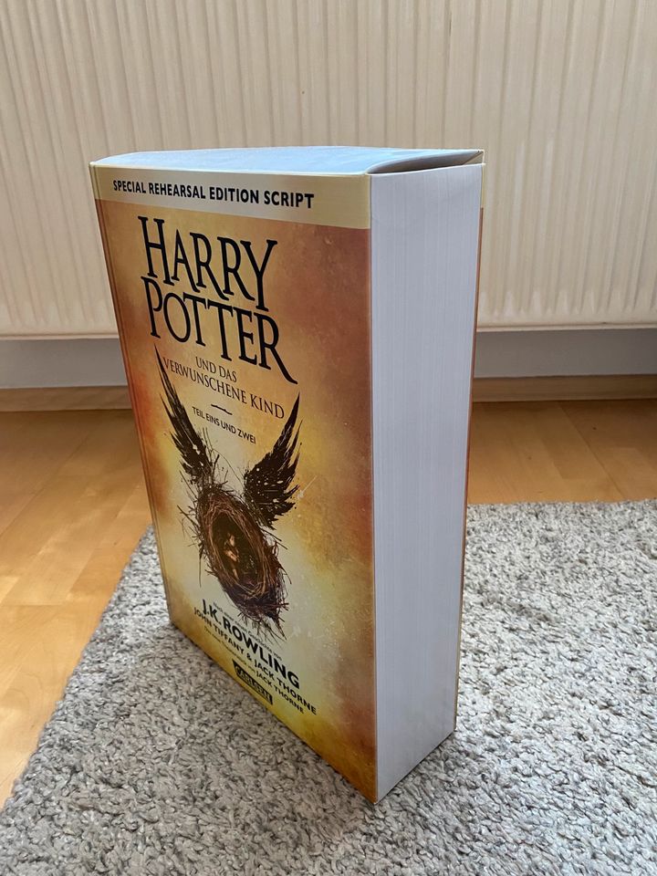 Harry Potter Pappaufsteller, Buchaufsteller in Plaue