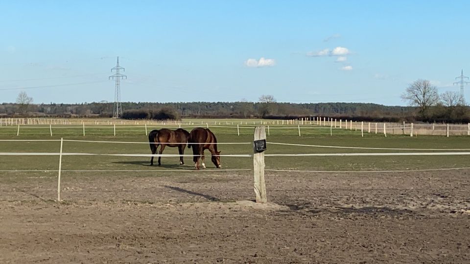 Offenstall / Stall / Offenstallplatz in 29690 Grethem in Schwarmstedt