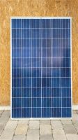 Trina Solar TSM 240 PC05 PV Modul Photovoltaik Panel Bayern - Siegsdorf Vorschau