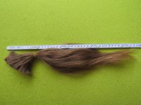 deutsches Frauenhaar Naturblond Schnitthaar Echthaarzopf ca 45 cm Köln - Widdersdorf Vorschau