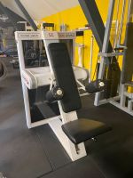 David 600 Fitness Seitheben (no Gym80, Cyebx, Precor, Schnell) Baden-Württemberg - Wolfach Vorschau