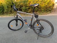 Älteres Bulls Mountainbike 26 Zoll Bayern - Kronach Vorschau