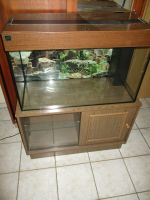 Aquarium-Kombi 100 l (netto) in Nußbaum - Becken 80 x 35 x 45 cm Dresden - Leuben Vorschau