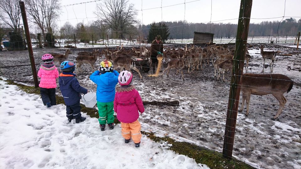 Tagesmutter, Kindertagespflege, Kostenübernahme durch Landkreis in Wittingen