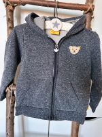 Steiff Sweatjacke Jacke 98 blau Junge Pullover Dresden - Tolkewitz Vorschau