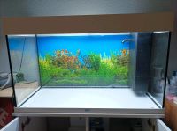 Aquarium Juwel 125 + Schrank und Zubehör inkl. Leipzig - Engelsdorf Vorschau