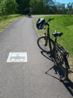Verkaufe hier zwei fahrräder wegen Neueinstieg auf e-bike Sachsen-Anhalt - Wanzleben Vorschau