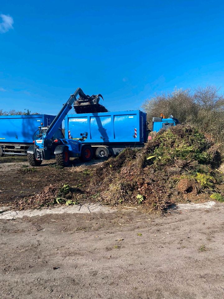 Entsorgung Gartenabfälle Container für Gestrüpp, Grünschnitt, in Reinfeld