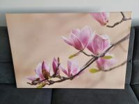 Bild Leinwandbild Wandbild Magnolie 90x60 cm Nordrhein-Westfalen - Schwelm Vorschau