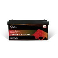 OLALITIO Batterie LiFePO4 12.8V 200Ah Pro Smart BMS Bluetooth Sachsen - Eilenburg Vorschau