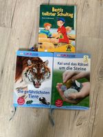 Leselernbücher 3 Stück Niedersachsen - Winsen (Luhe) Vorschau